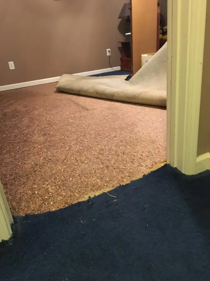 Carpet pad removal revealing water damage during Drying & Dehumidification in Ennis